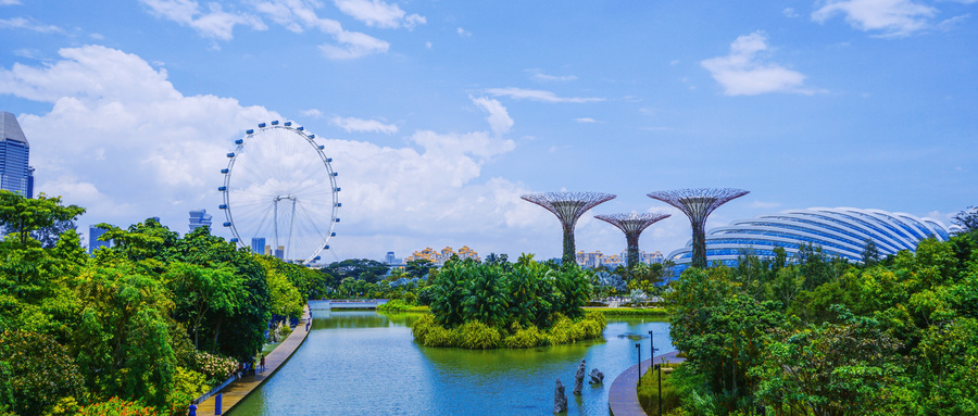 高考后如何申请新加坡留学？
