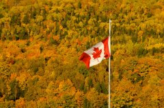 加拿大魁省PEQ新政策实施！无需工作经验即可申请移民？