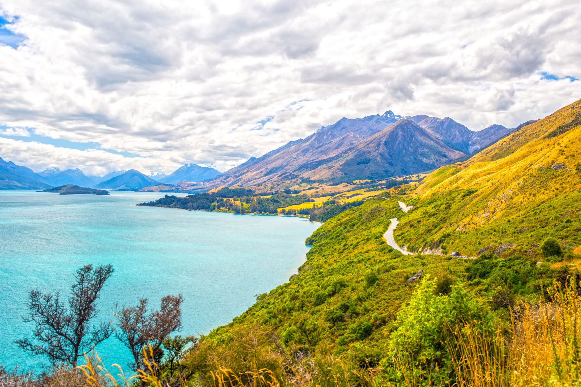 新西兰留学本科条件及费用,新西兰本科申请条件,新西兰本科留学费用