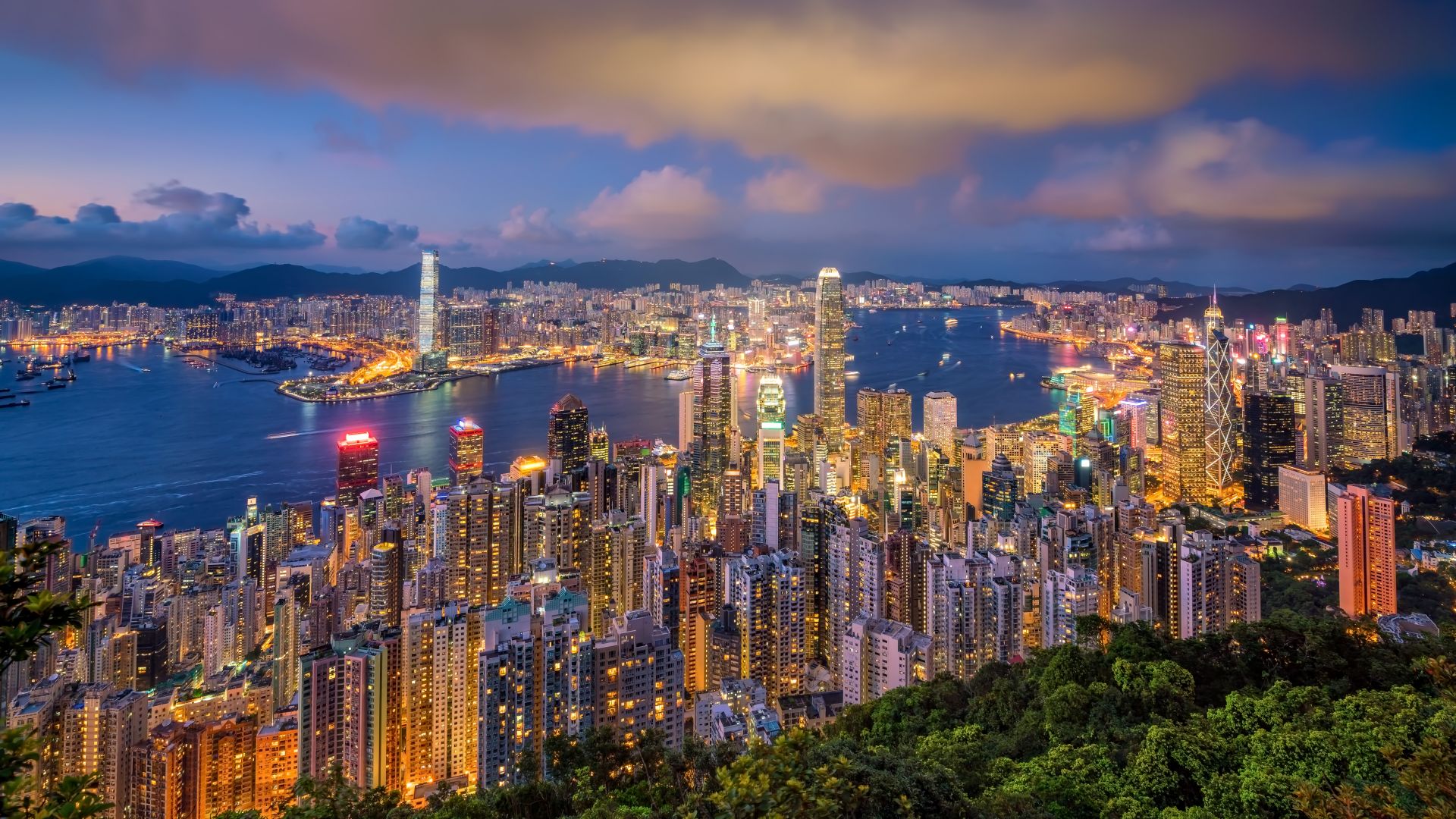 香港前五院校的强势专业及申请要求,香港优势专业