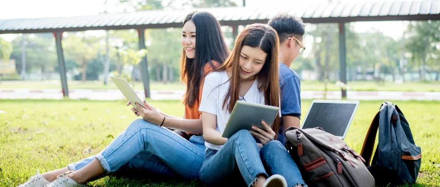 香港大学接受本科转学,香港大学本科