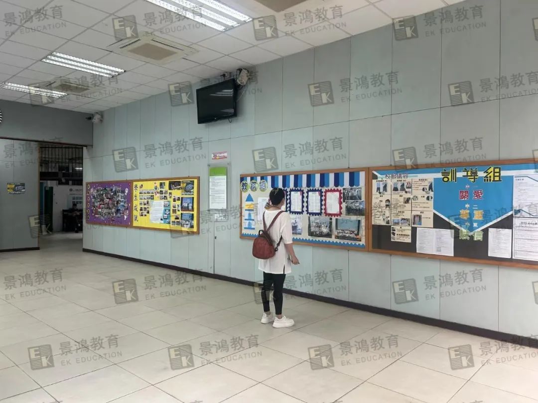 九龙三育中学,香港中学