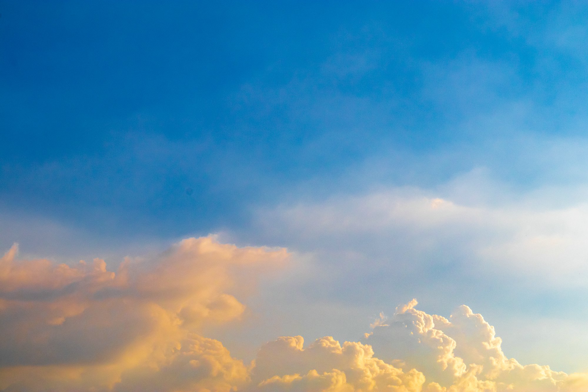 留学专业,留学潜力专业