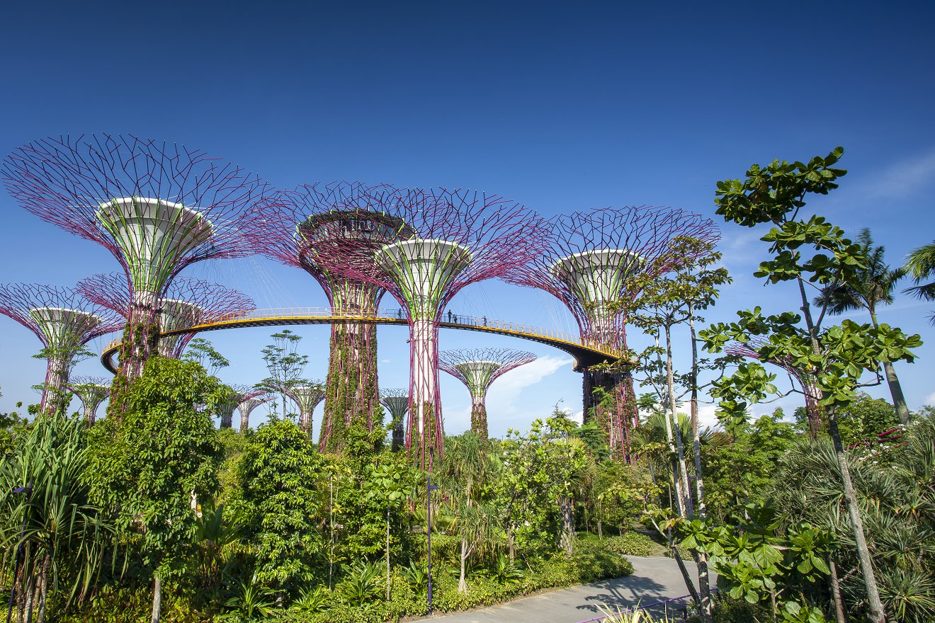 新加坡PR申请攻略,新加坡留学生