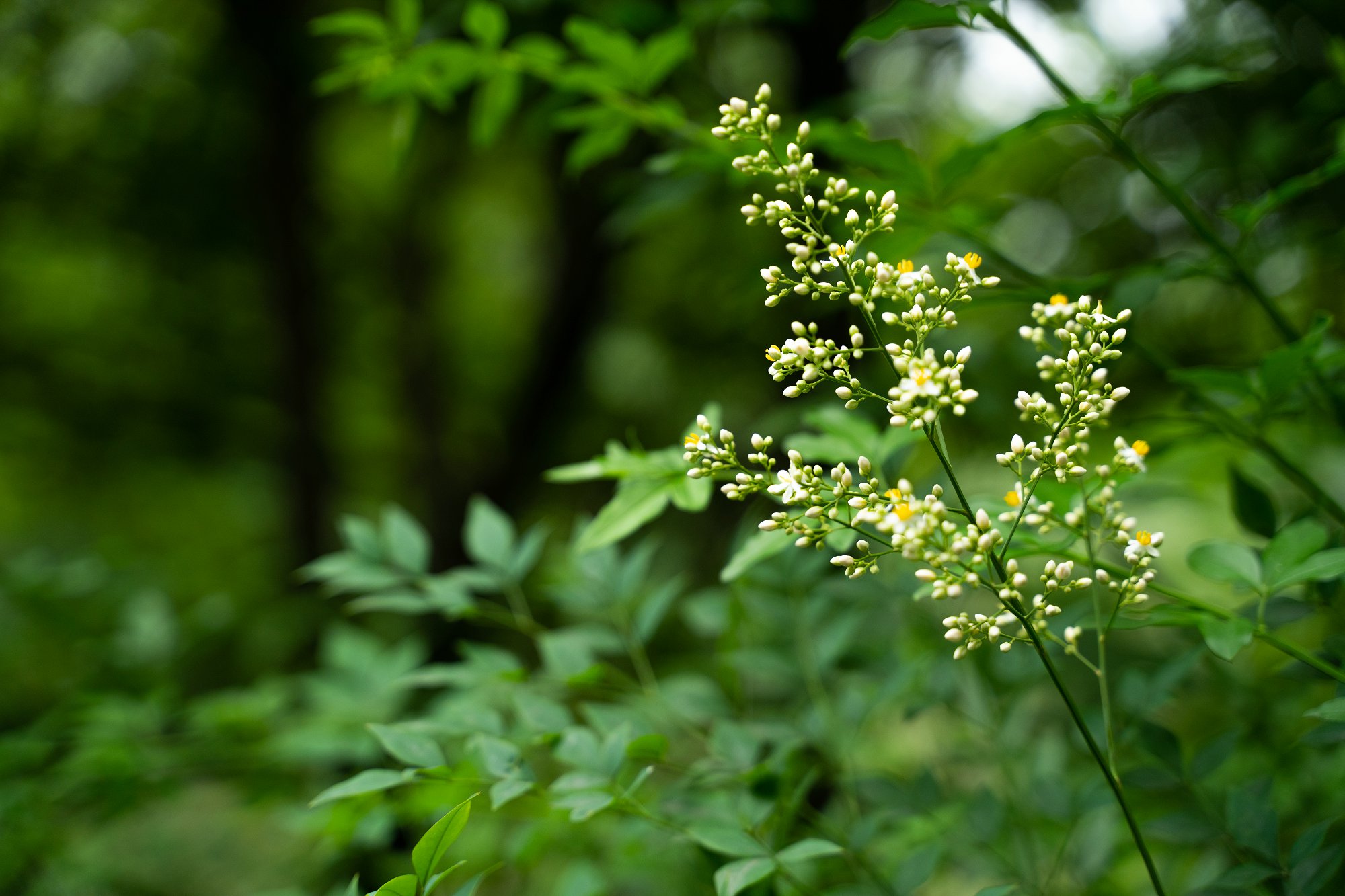 留学文书,留学文书到底咋写