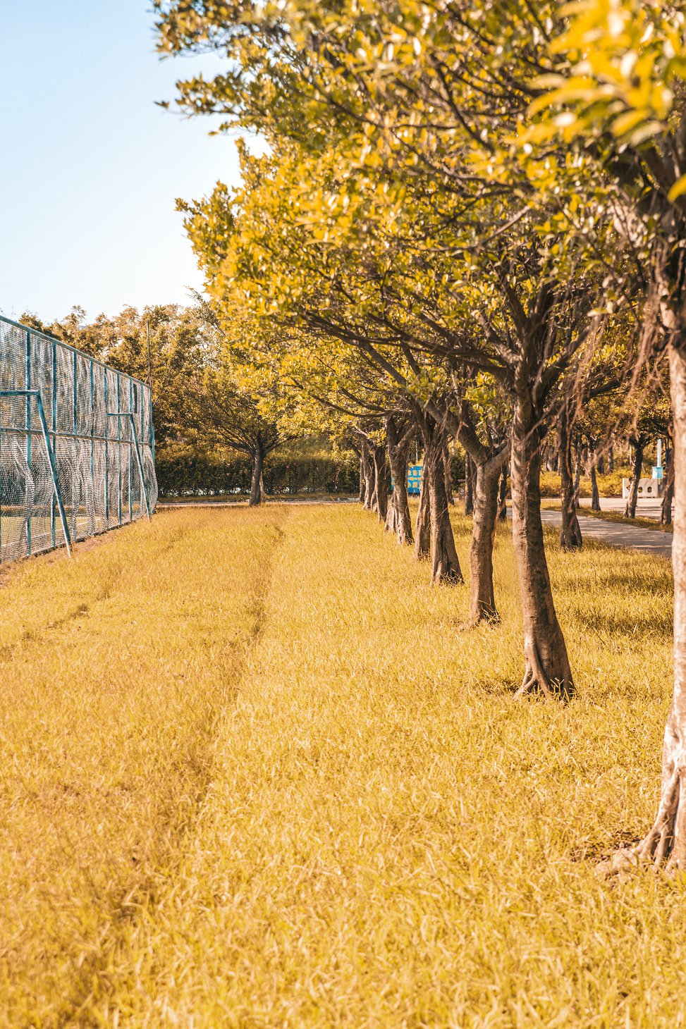 亚洲留学,马来西亚留学