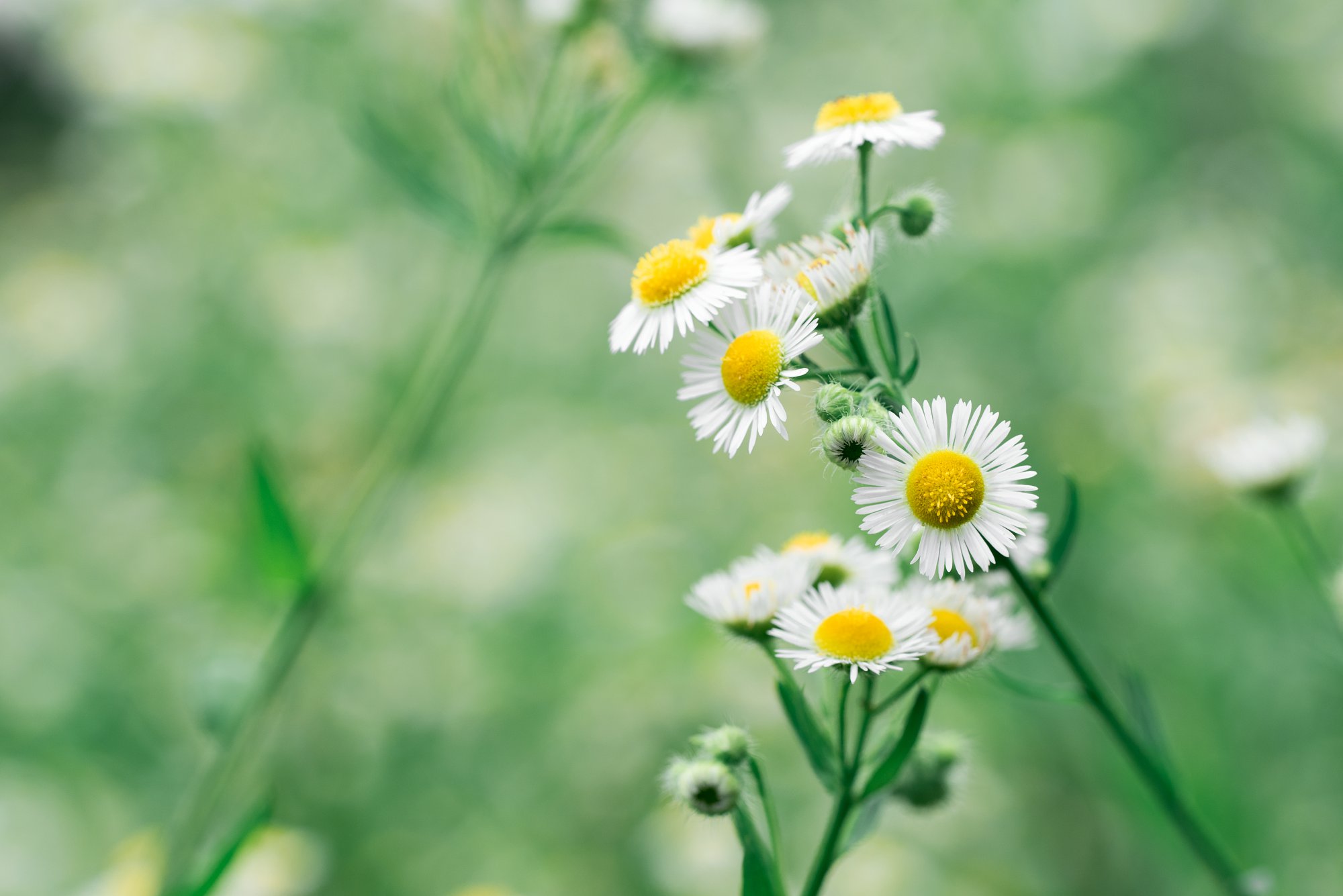 考研出分,考研留学