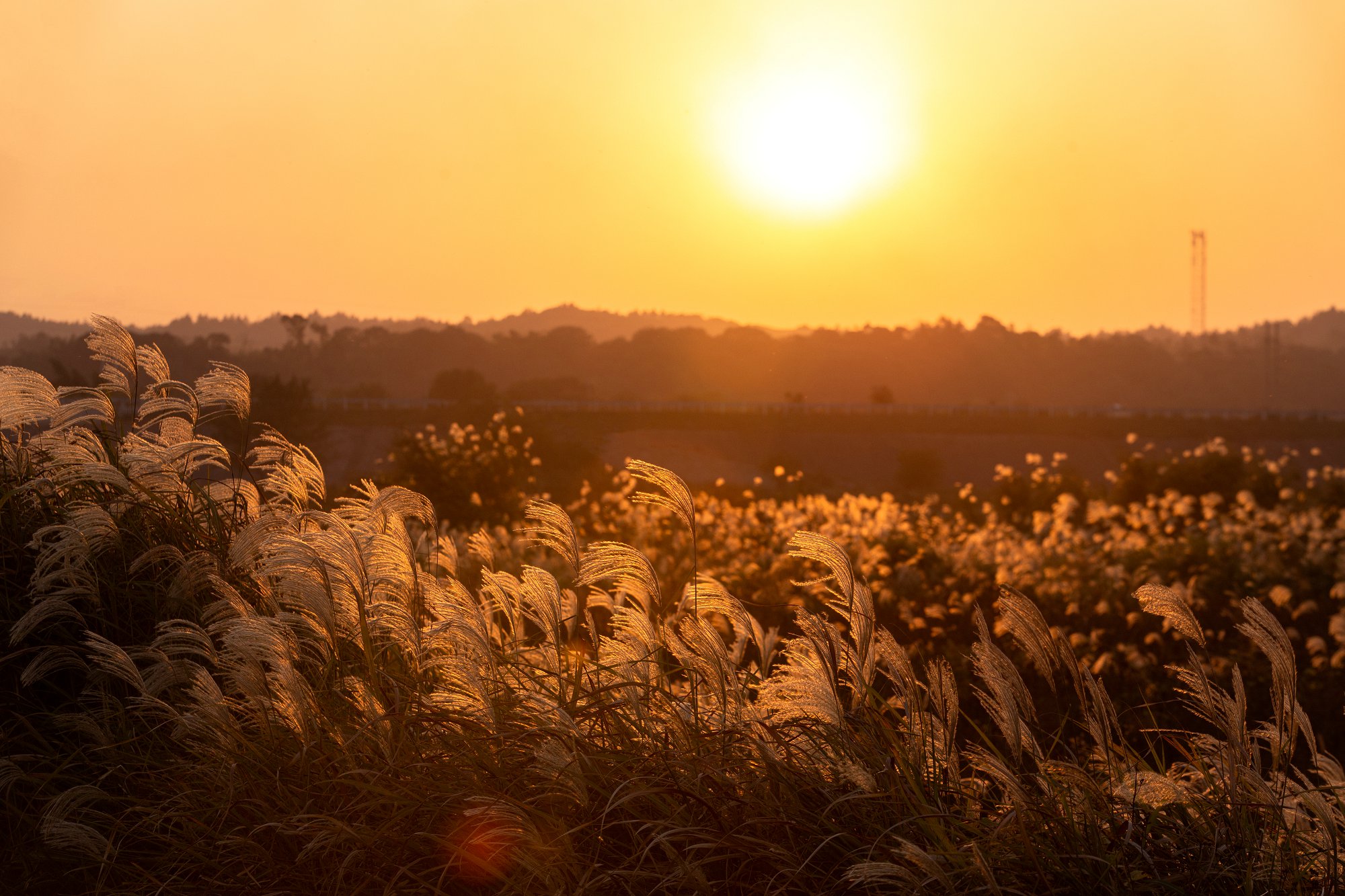 考研留学,香港一年制硕士