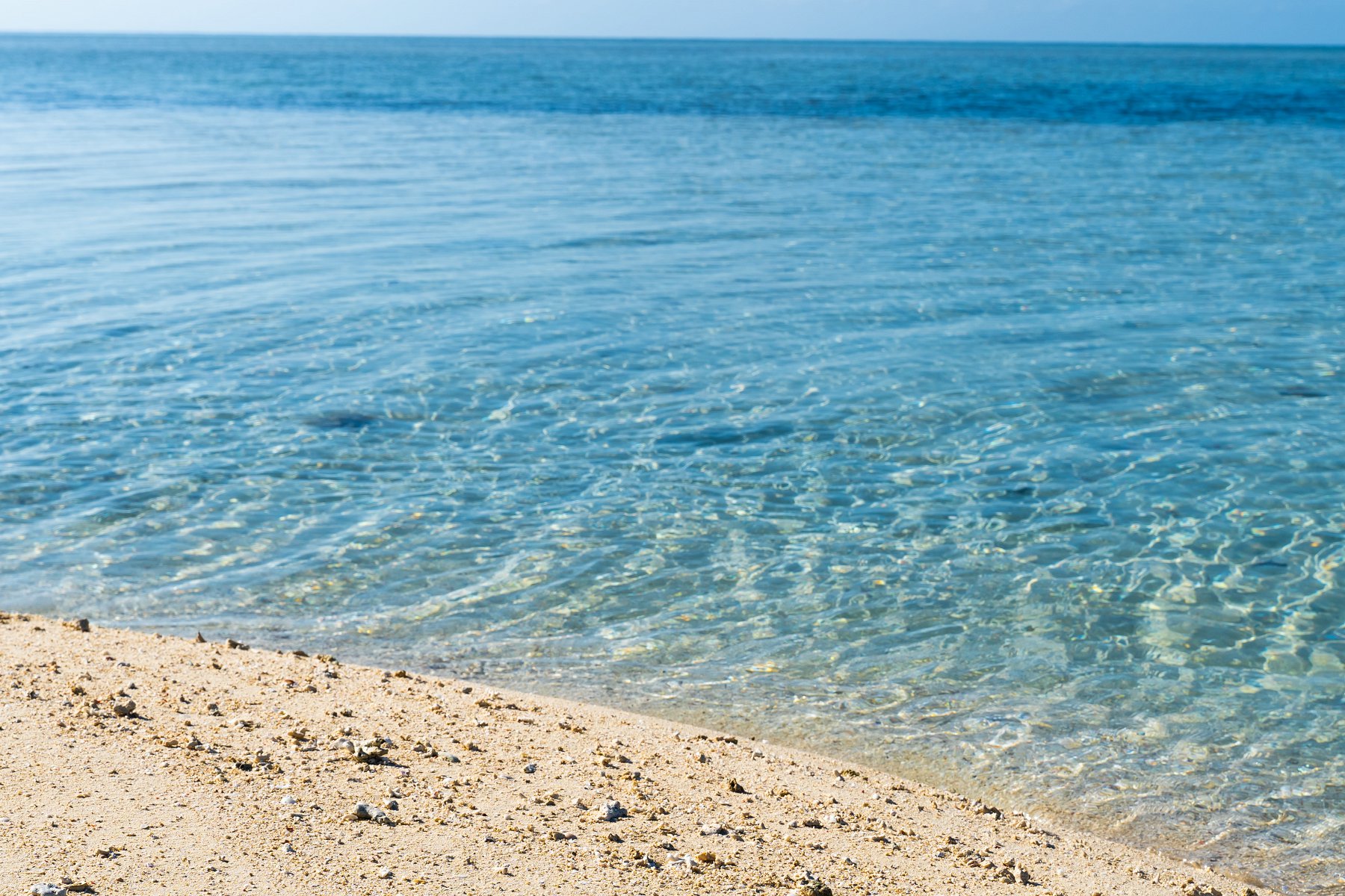 考研留学,考研失败后留学