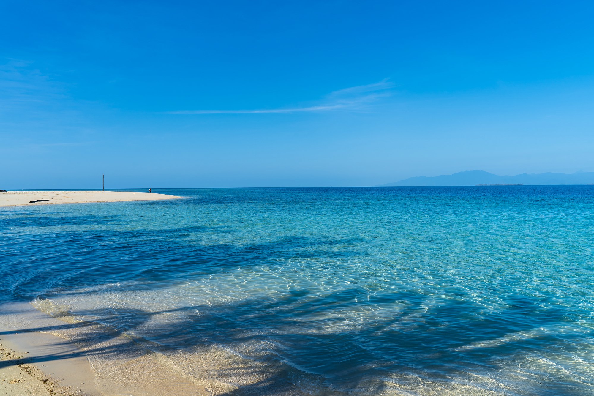 高考+留学双规划,高考留学