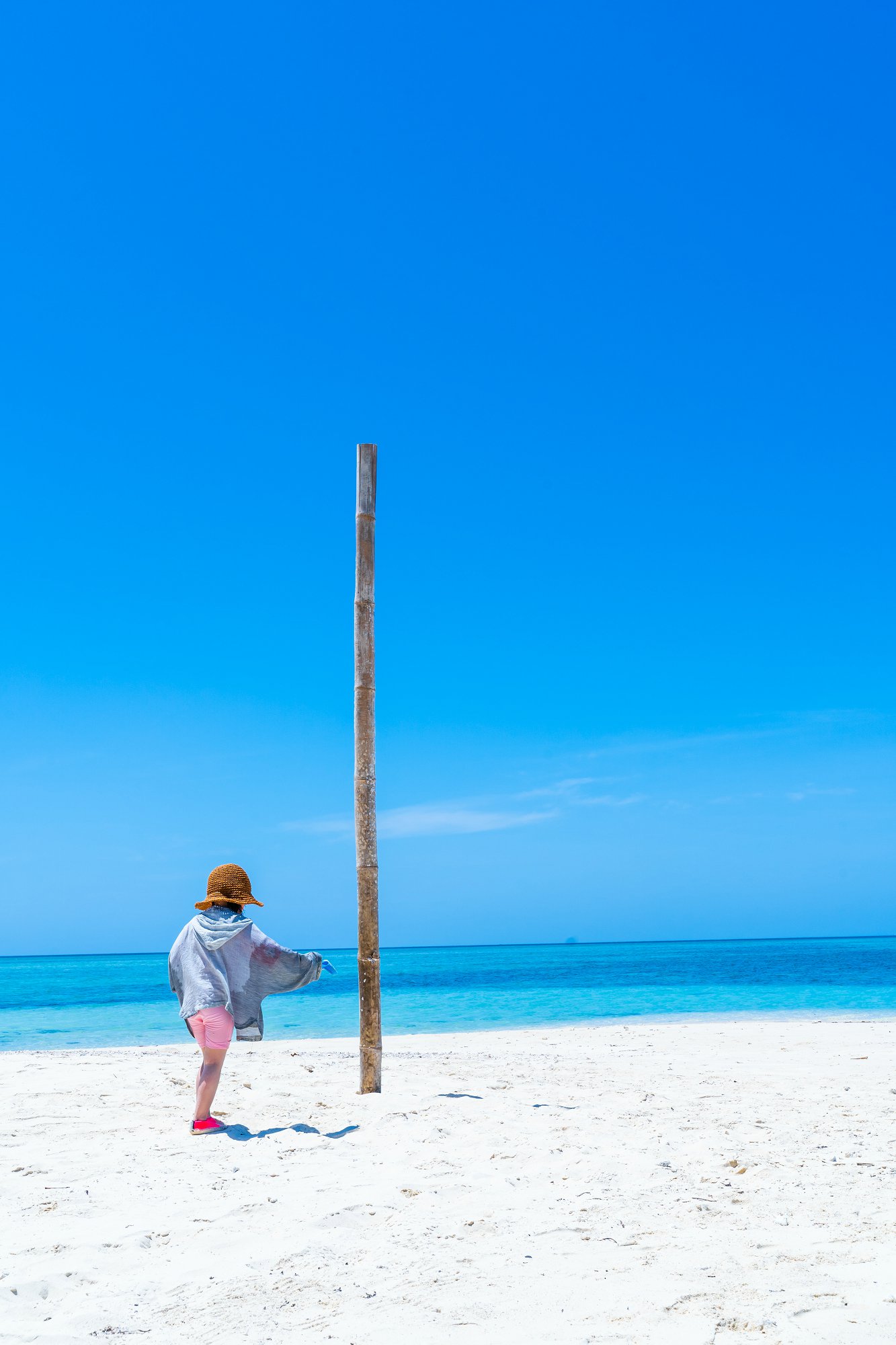 高考考研,高考留学,留学考研