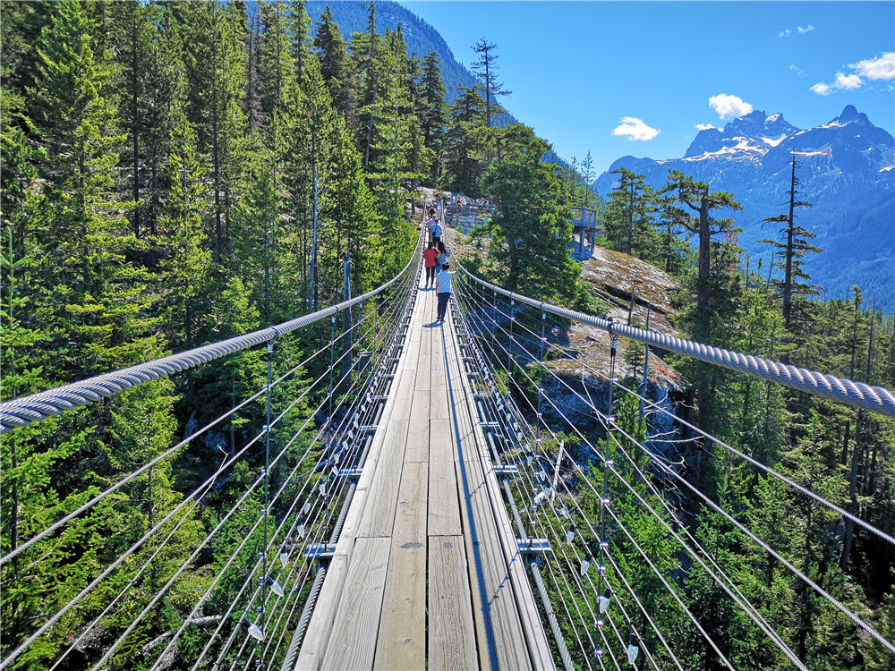 如何提高签证通过率？加拿大学签锦囊