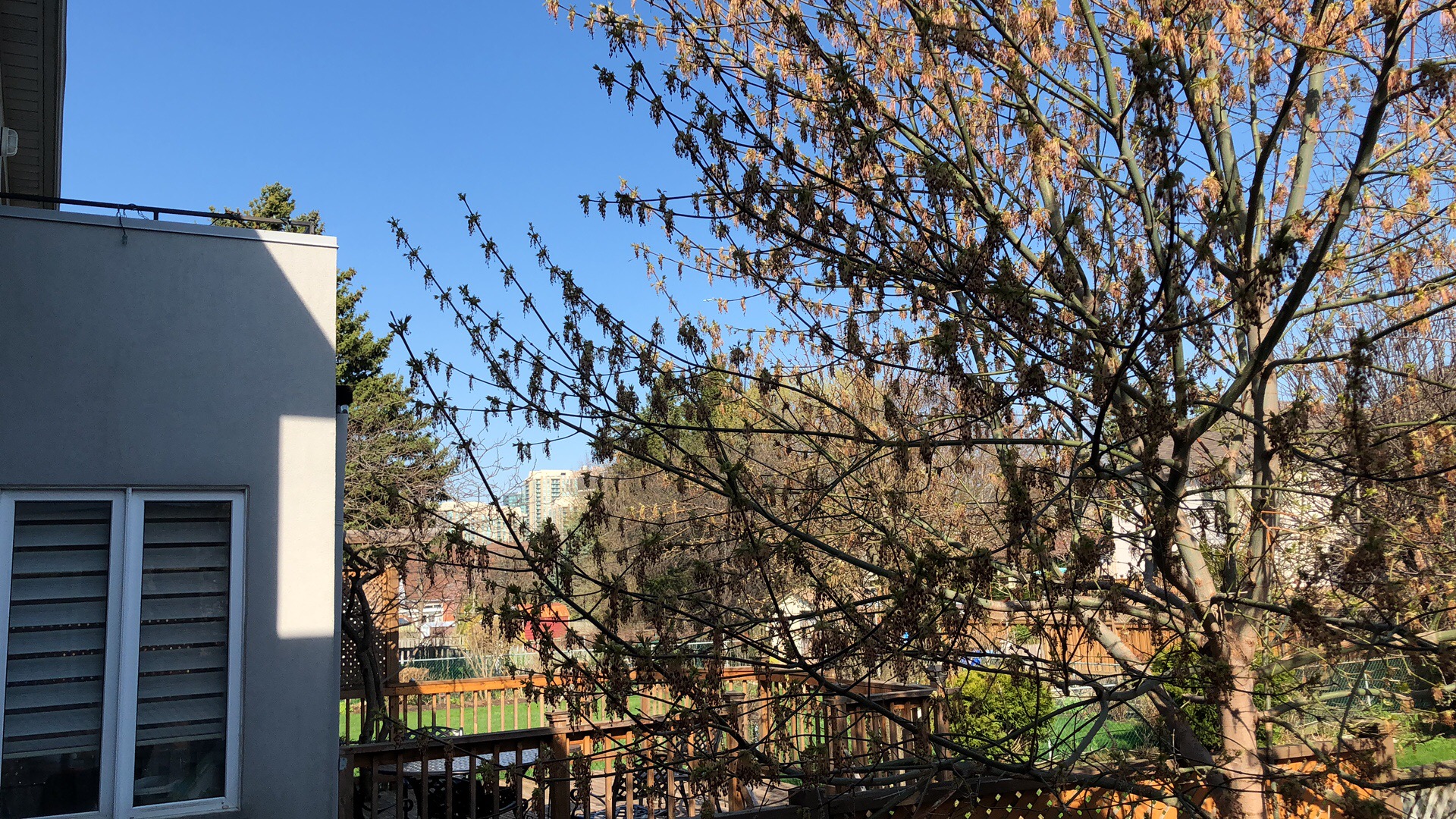 #中考留学同步走#加拿大中学申请锦囊