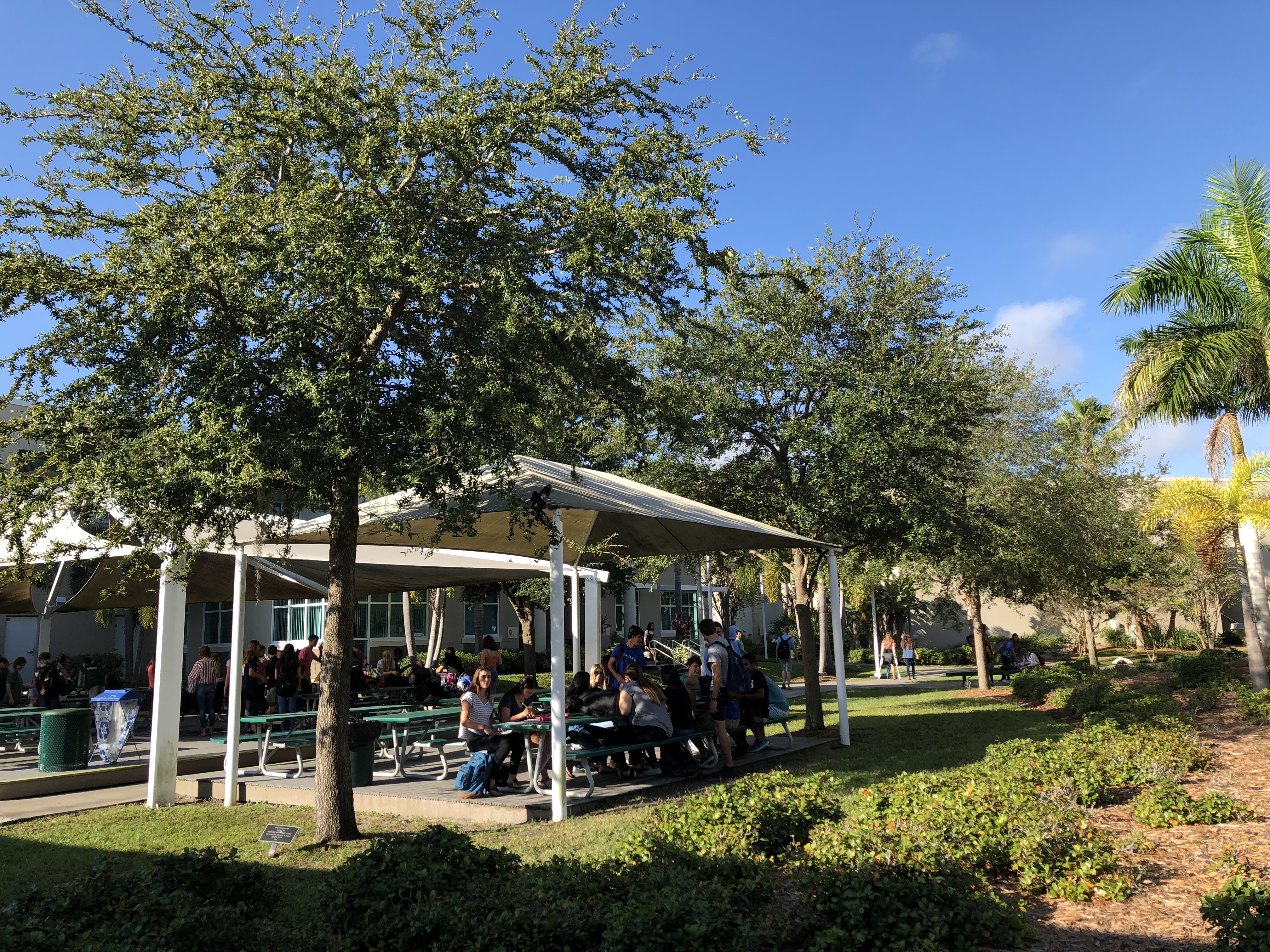 中美高考作文对比，差别到底在哪里？