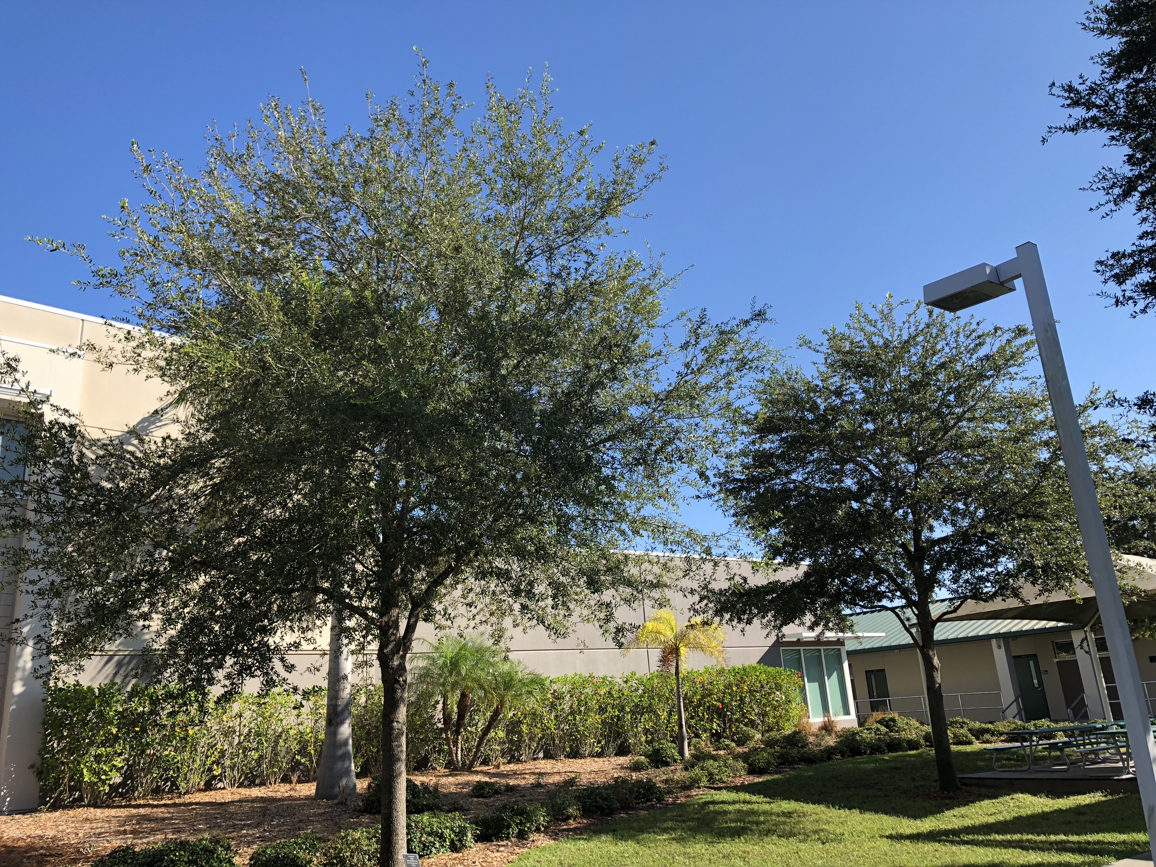 GRE的写作到底在考察什么？