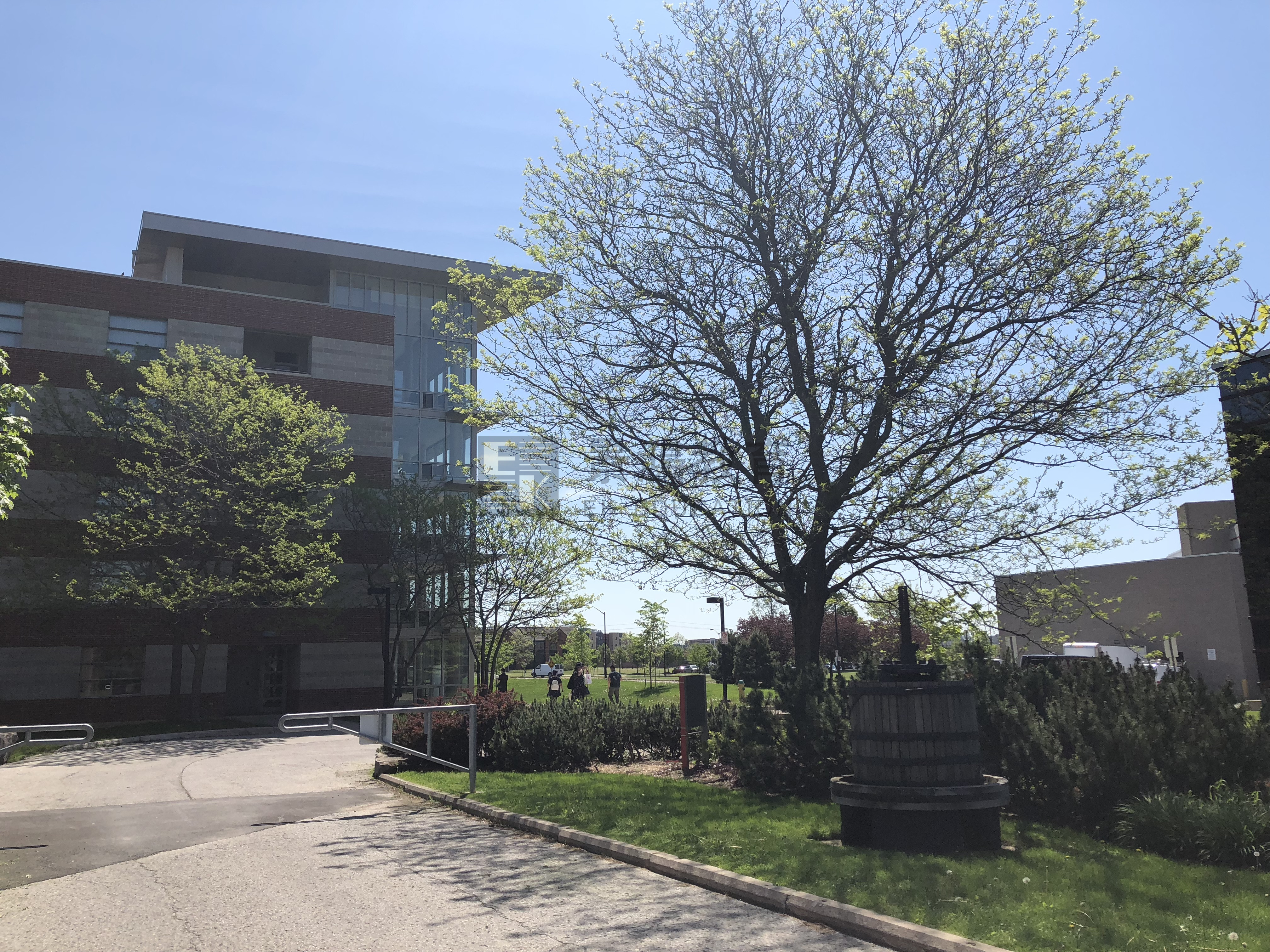 景鸿加拿大访校记：布鲁克大学