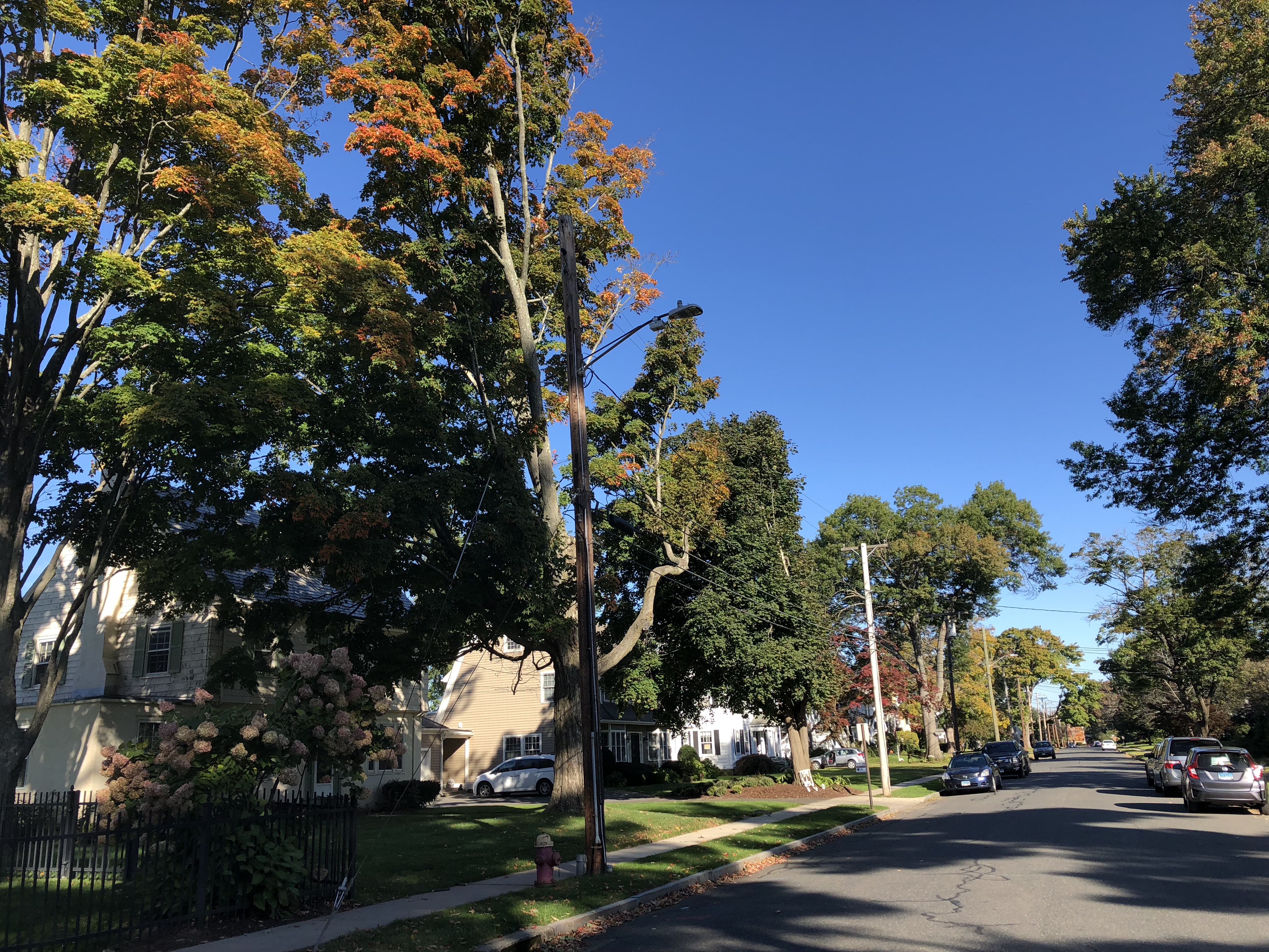 中考放榜！你还有美国高中这个选择！