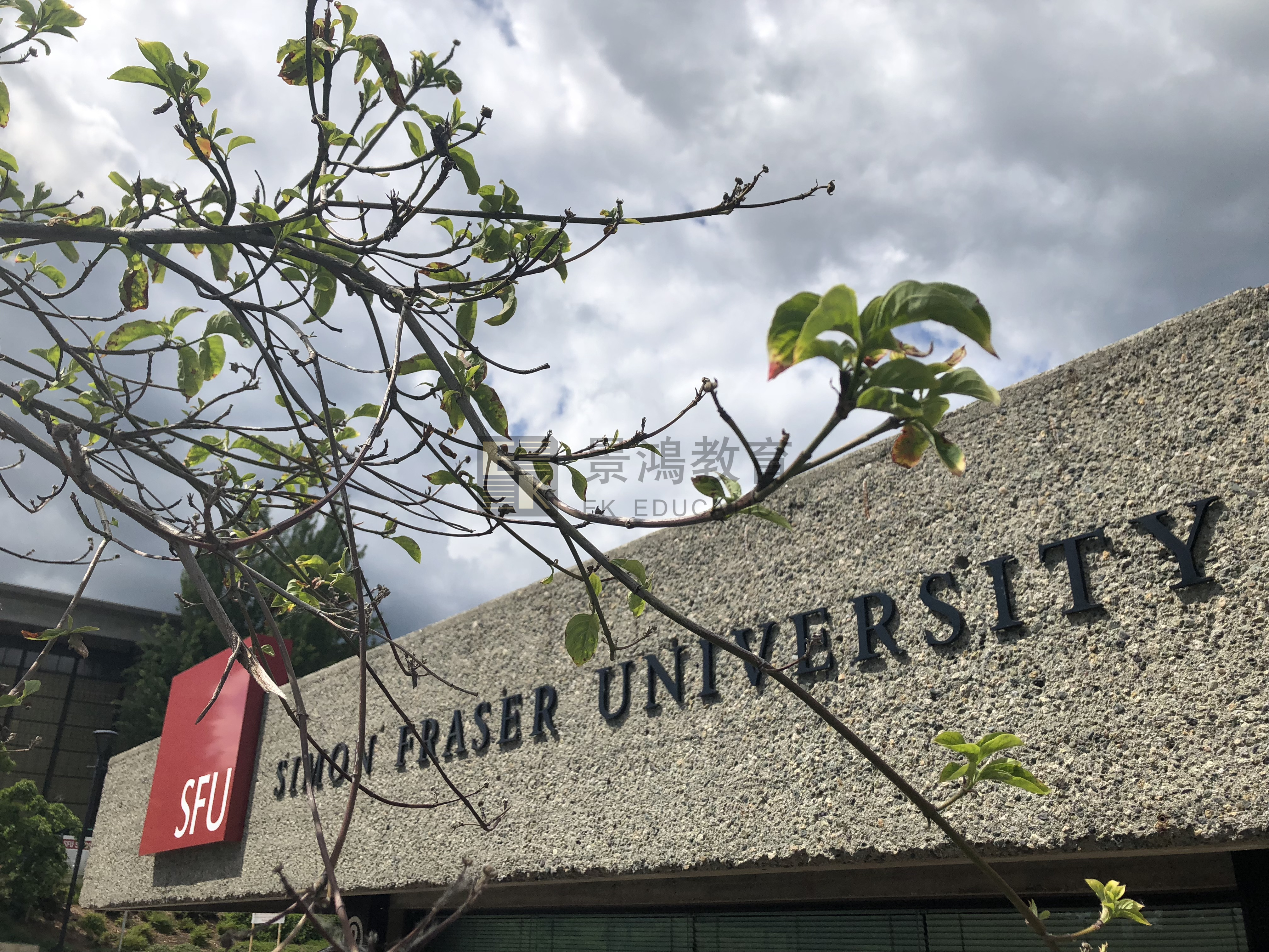 FIC理学院桥梁课程开通啦！