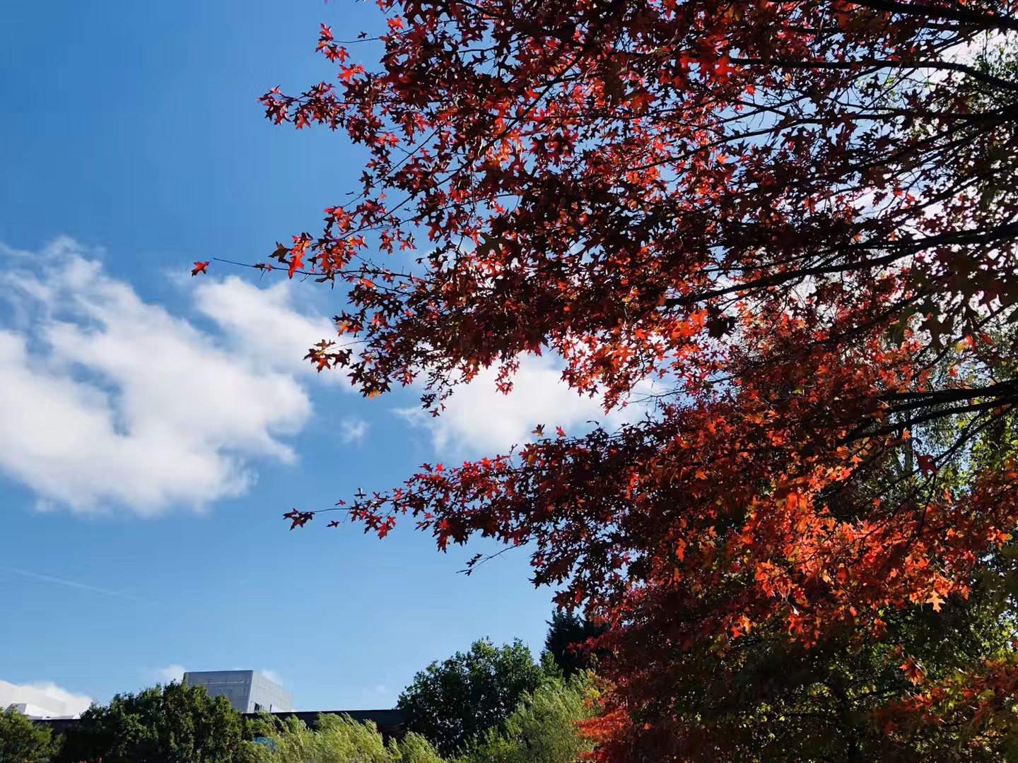 又有部分英国院校开放2020年硕士申请