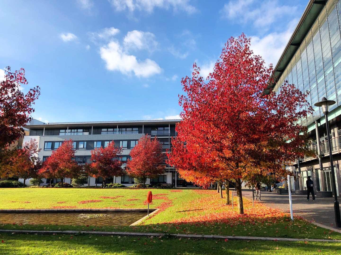 英国带薪实习难找？试试这些渠道再说！