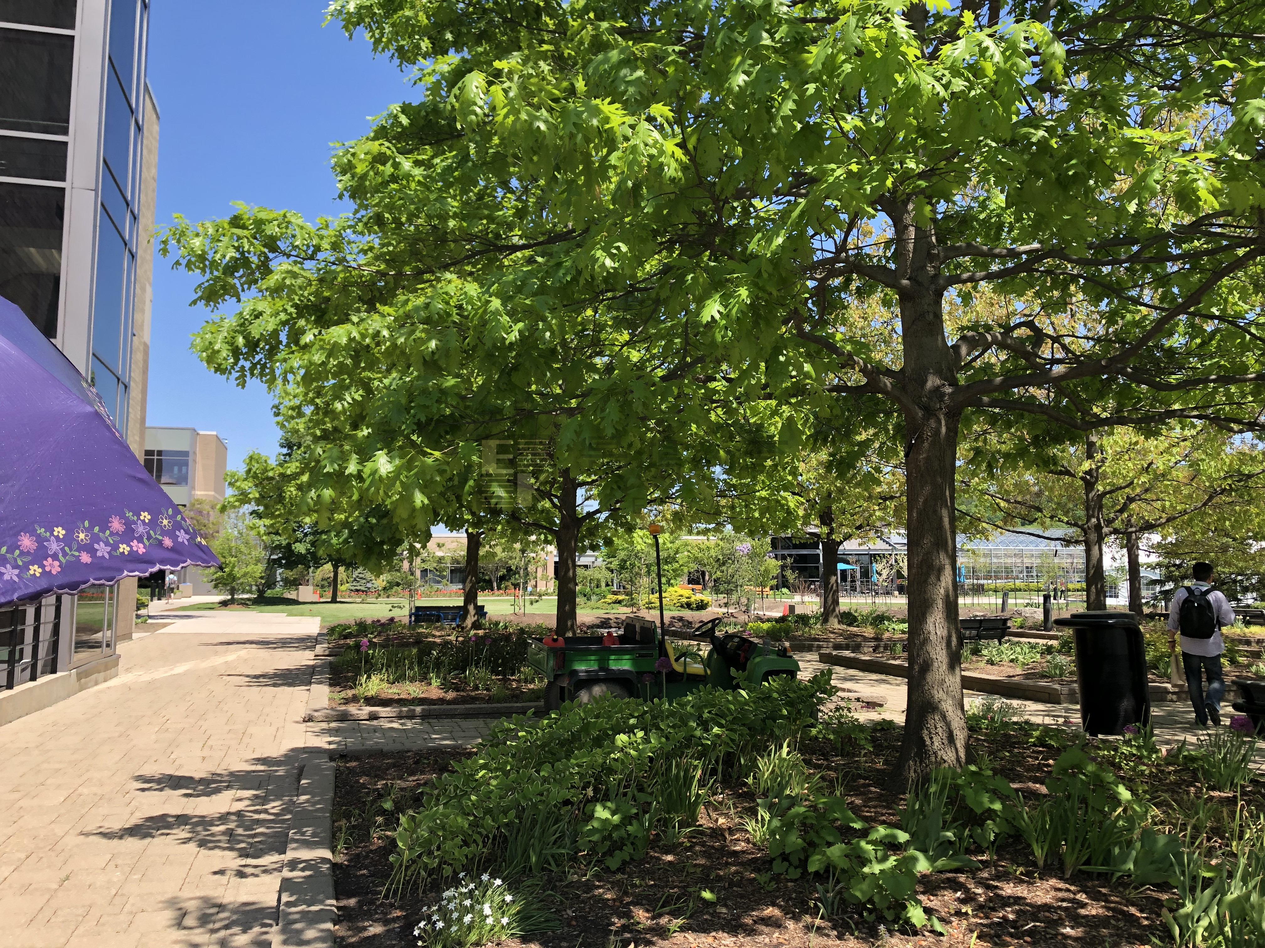 加拿大College升读大U，双学历有优势！