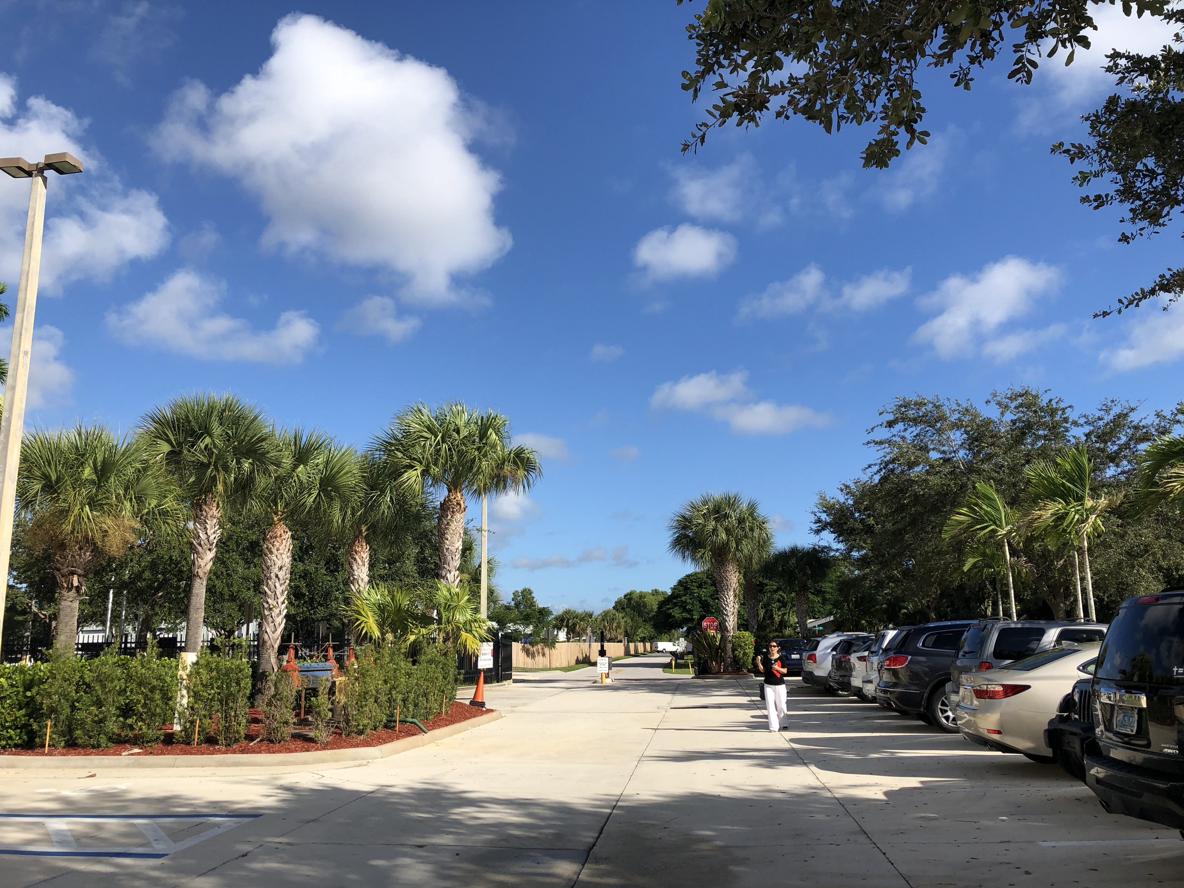 美国申请 | 课外活动必须“重质”