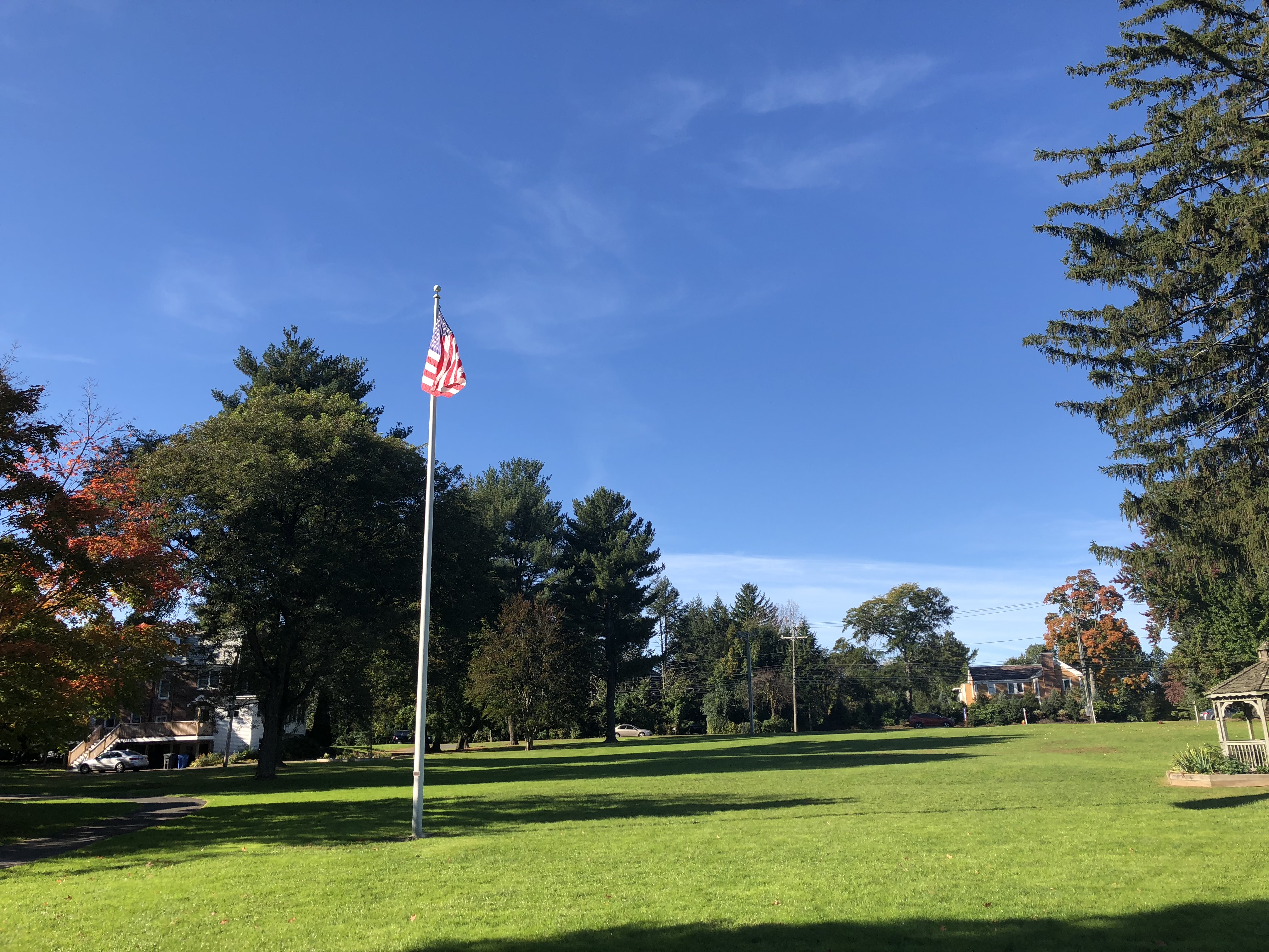 还在和“老藤”拉锯？“新藤”等着你呢！