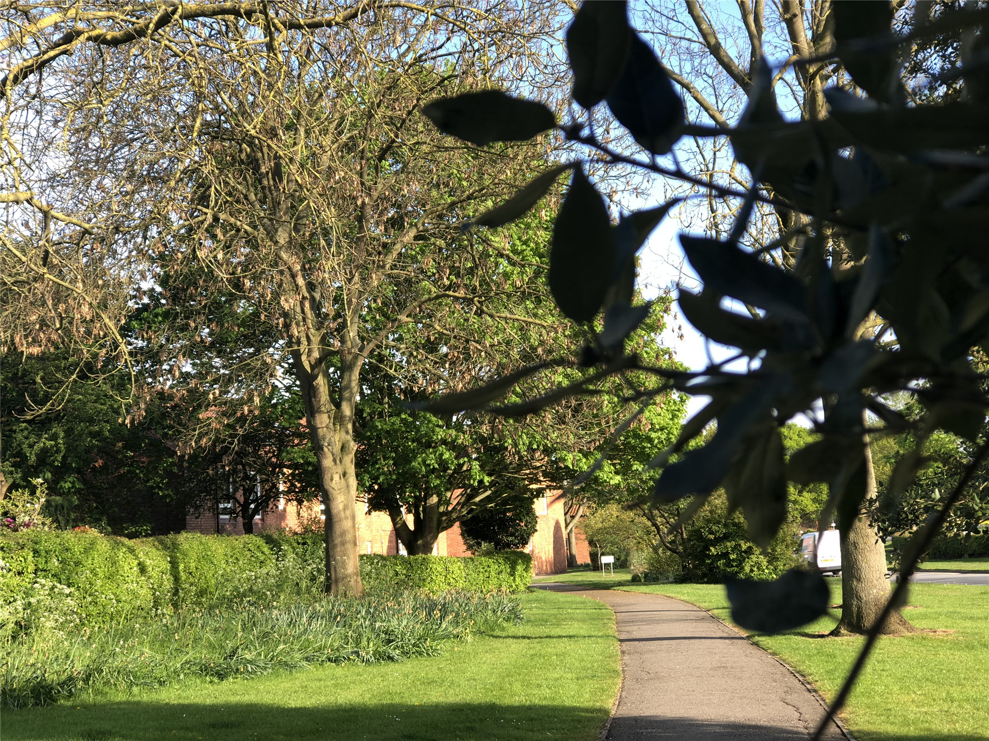 英国PSW签证确定复活！最早2021夏季毕业生可申请