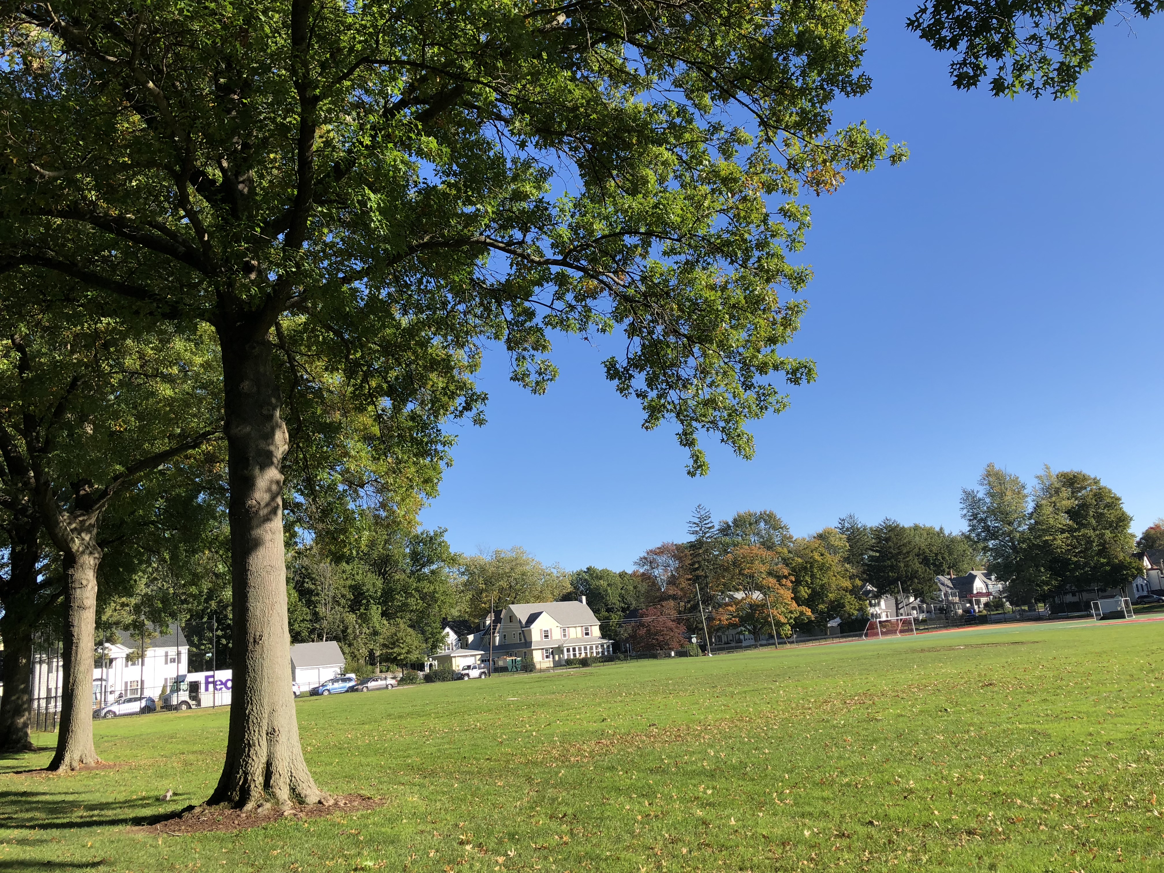 美高在“爬藤”之路上有什么优势？