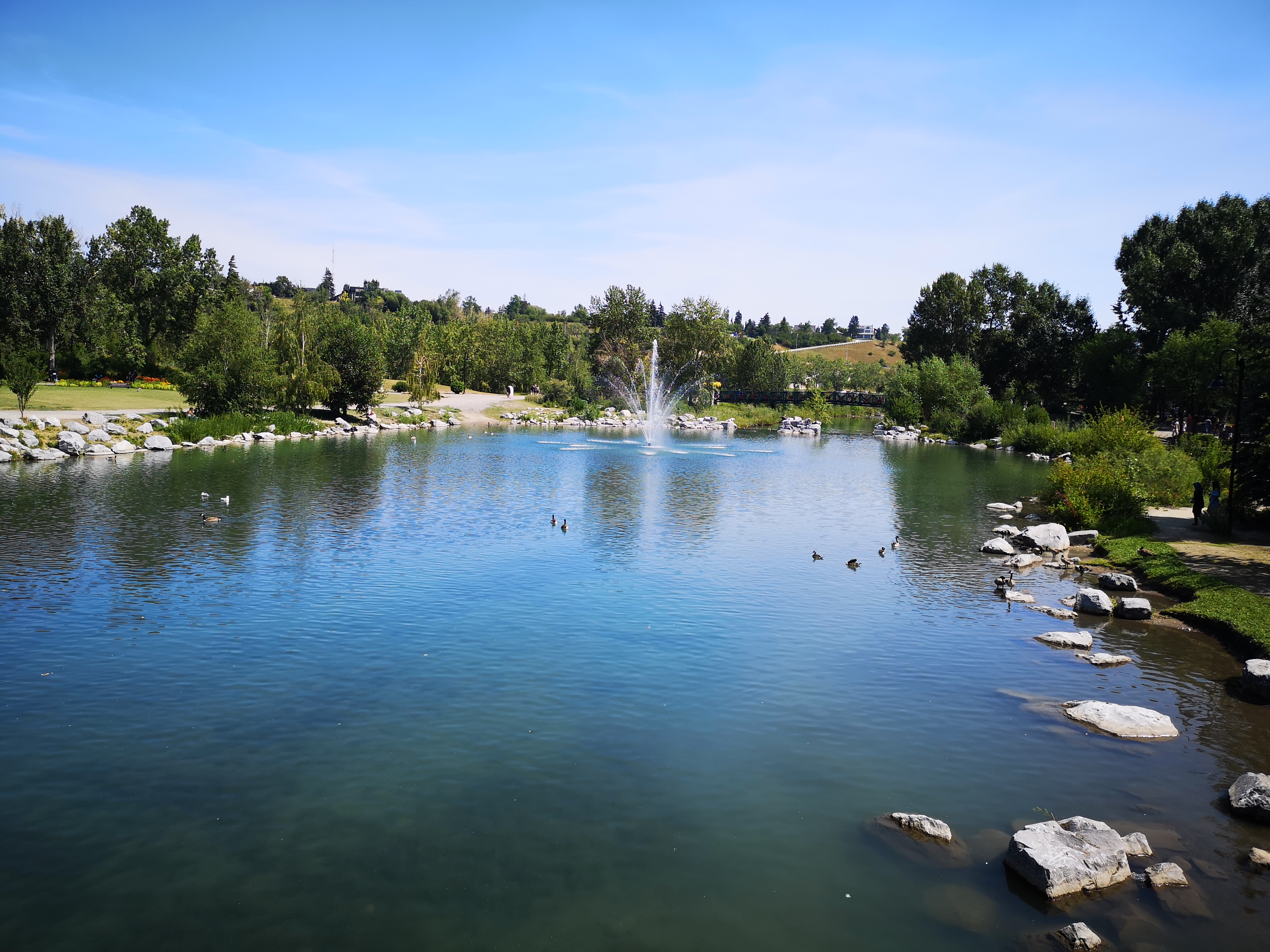 为什么来曼省第一时间爱上的是温尼伯？