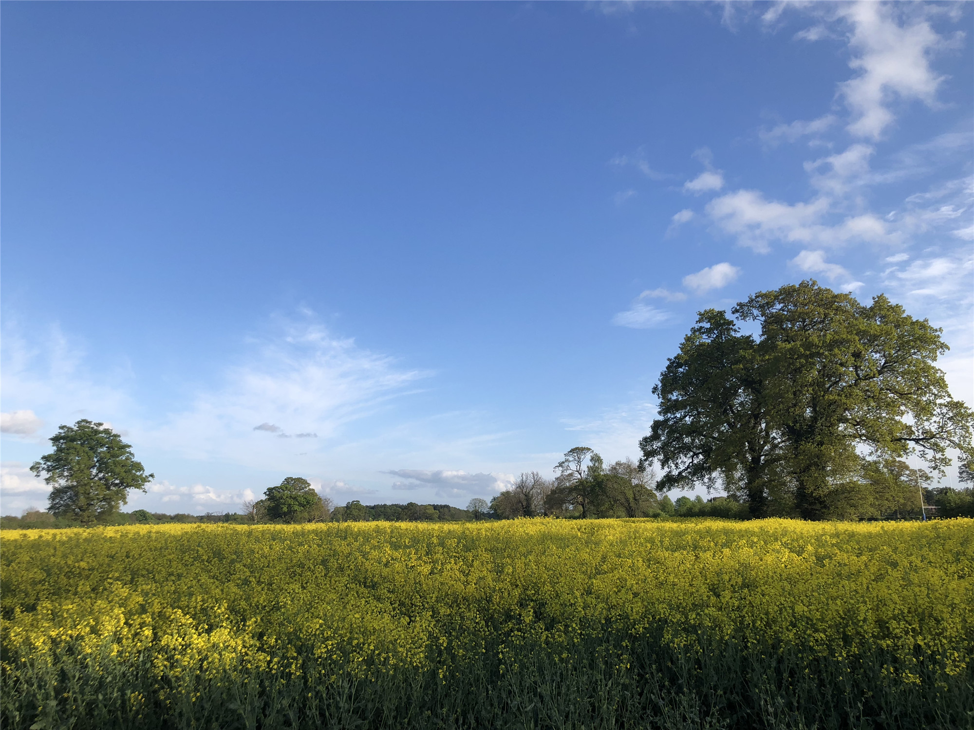 G5摇篮·英国圣约翰公学11月5日面试会，景鸿为你
