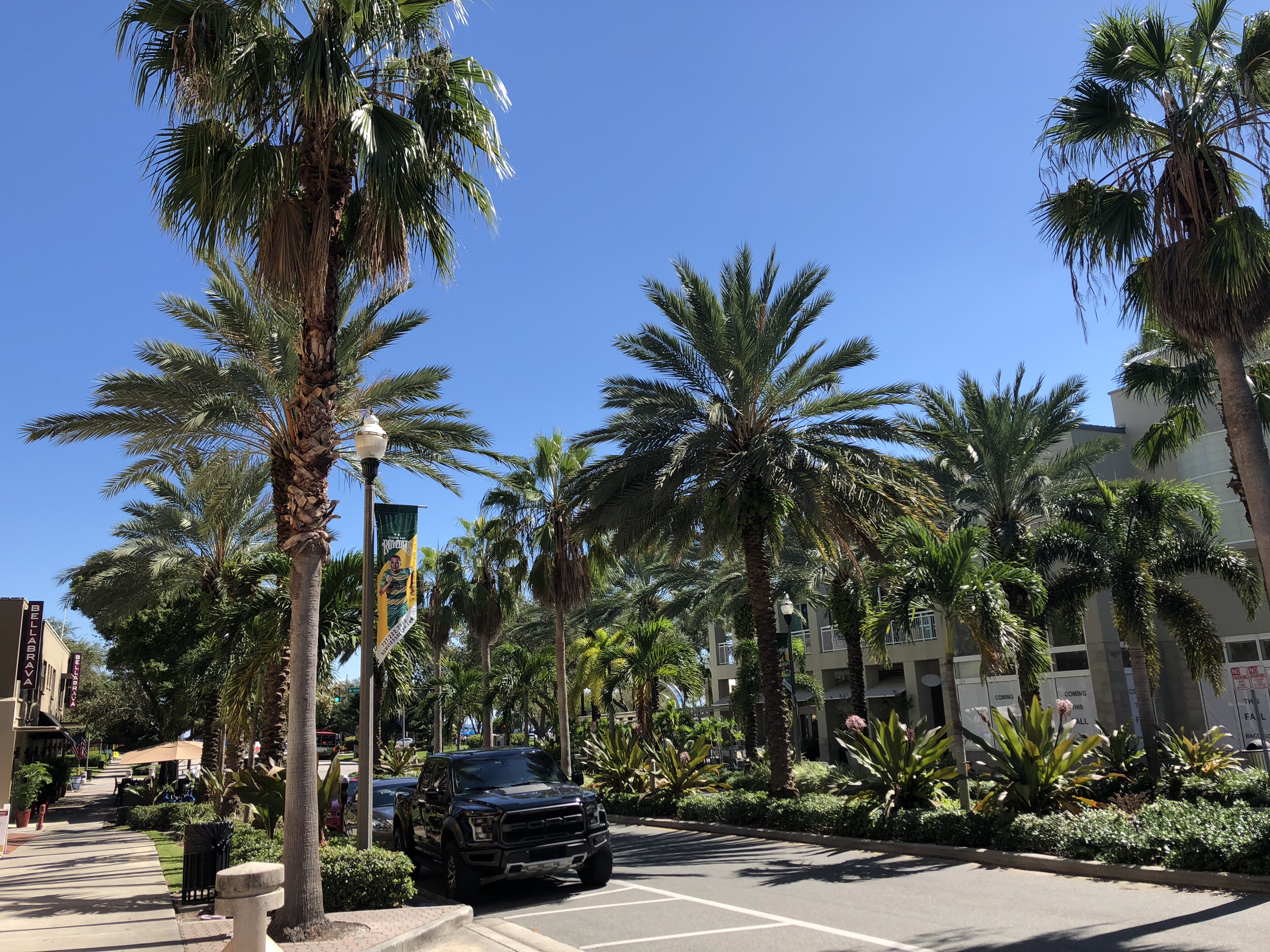 掌握这四大思维，更快融入美国大学生活！