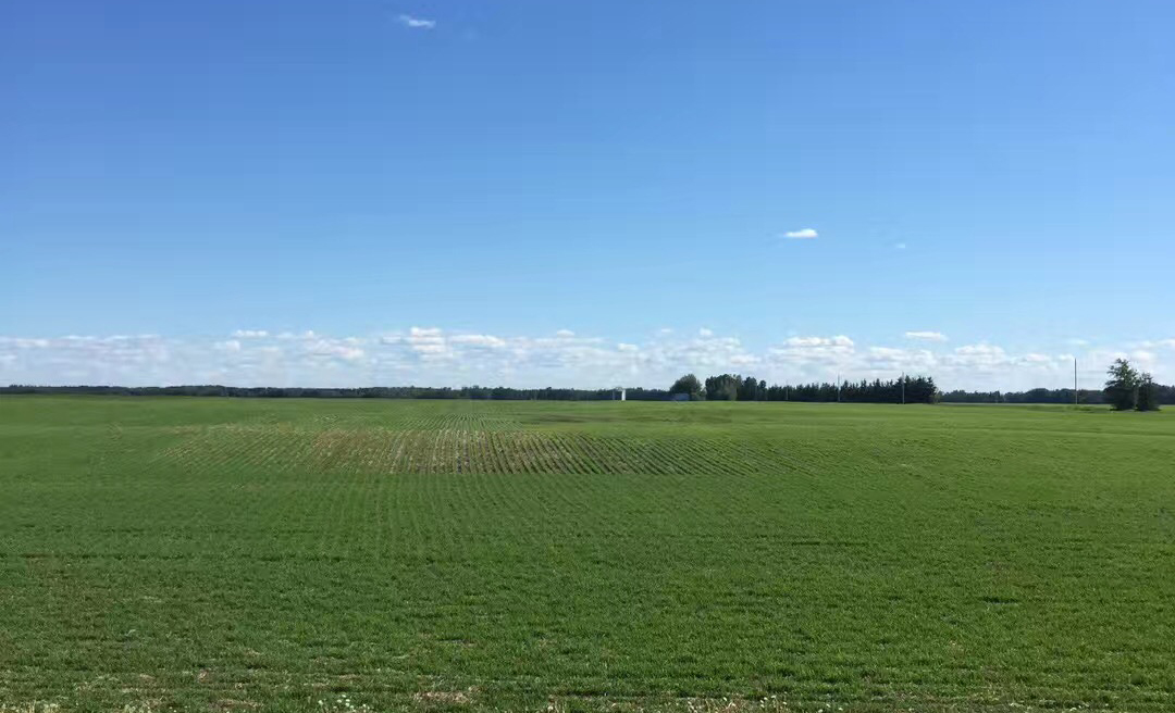 加拿大东部排名第一的学府——达尔豪斯大学