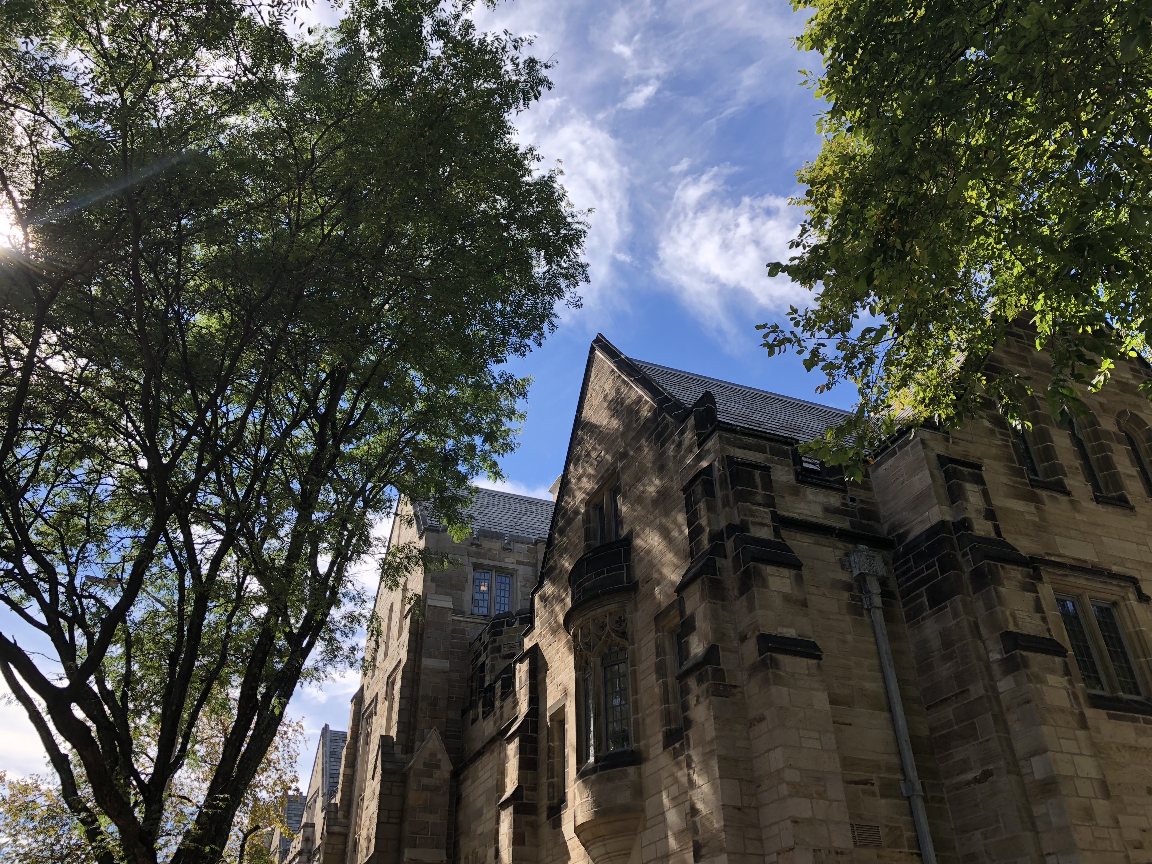 美国留学申请|美高院校面试技巧，学起来！