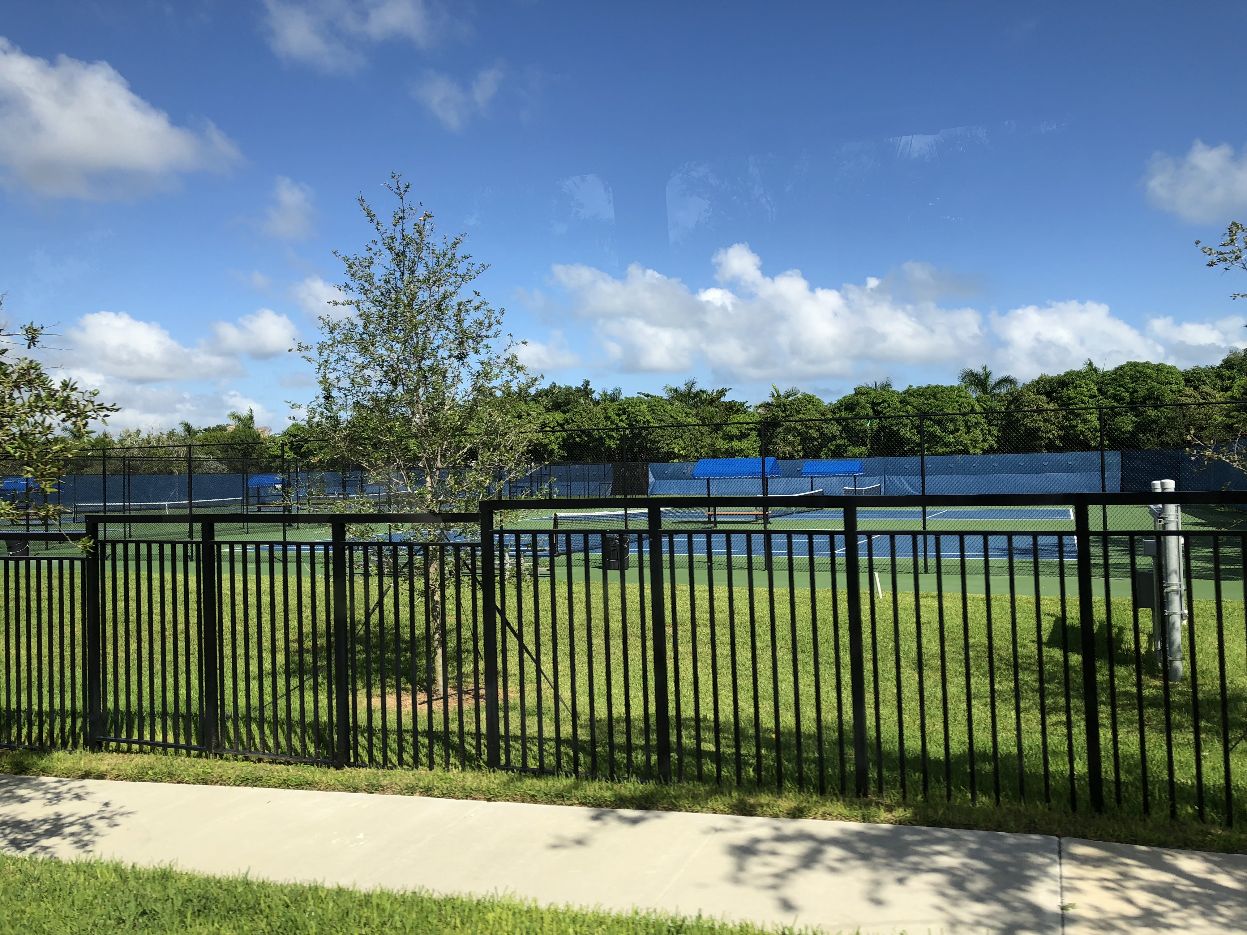 37万中国留学生，为什么特别青睐美国这三个州？