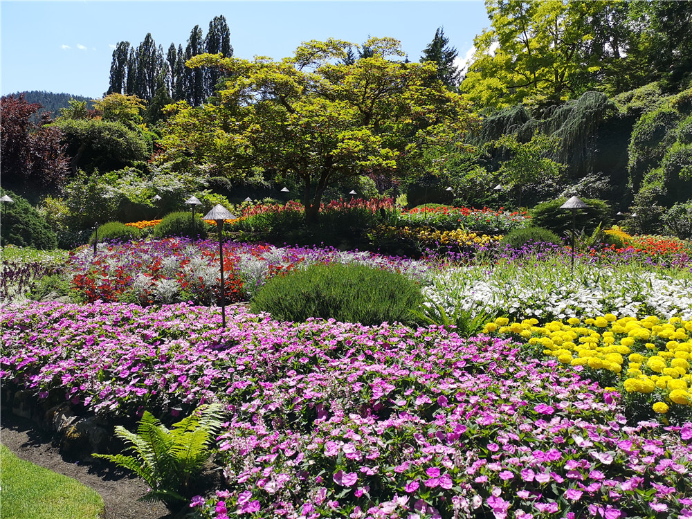 加拿大本科留学5种录取方式