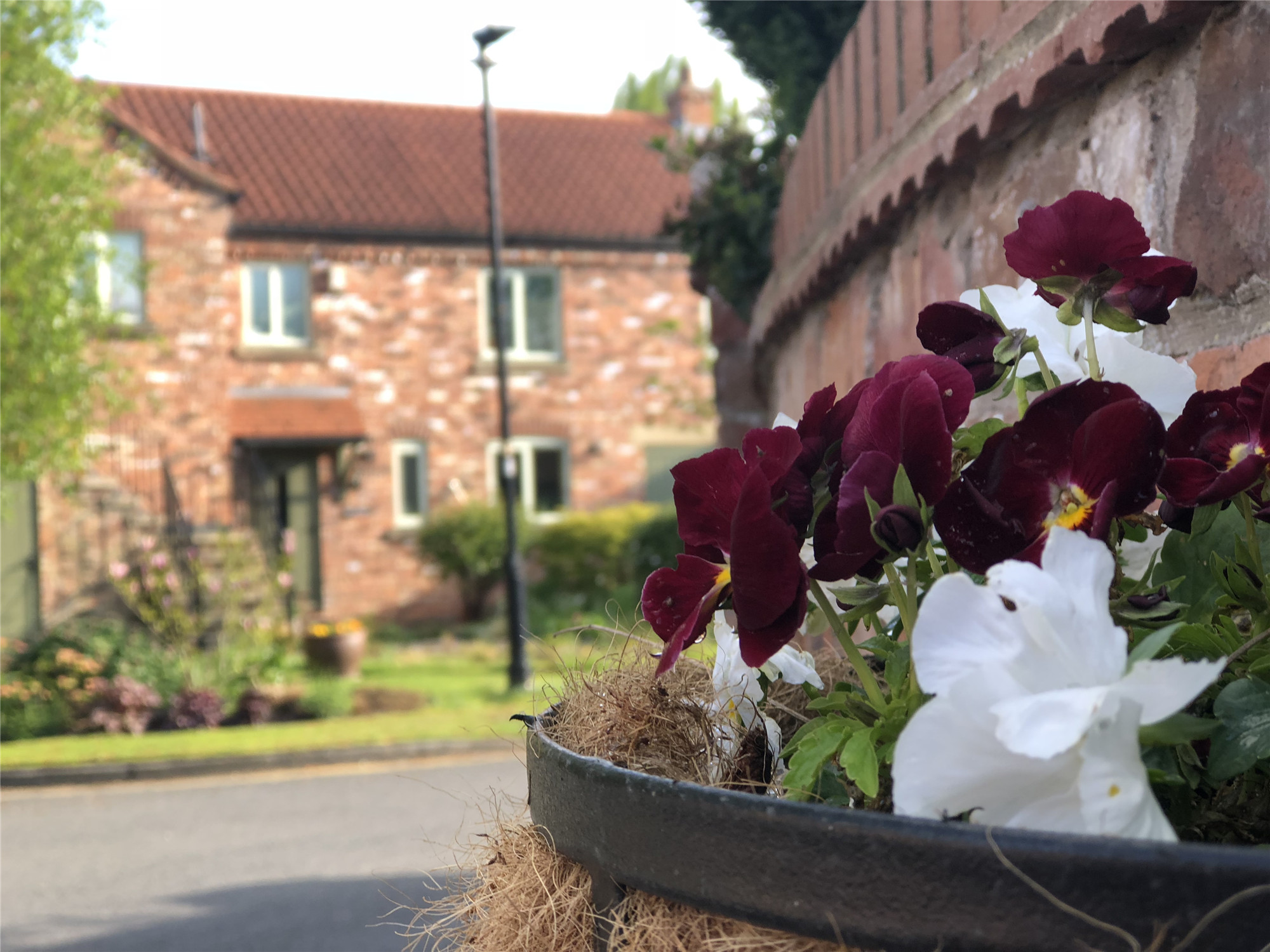 名校跳板——英国预科面面观！