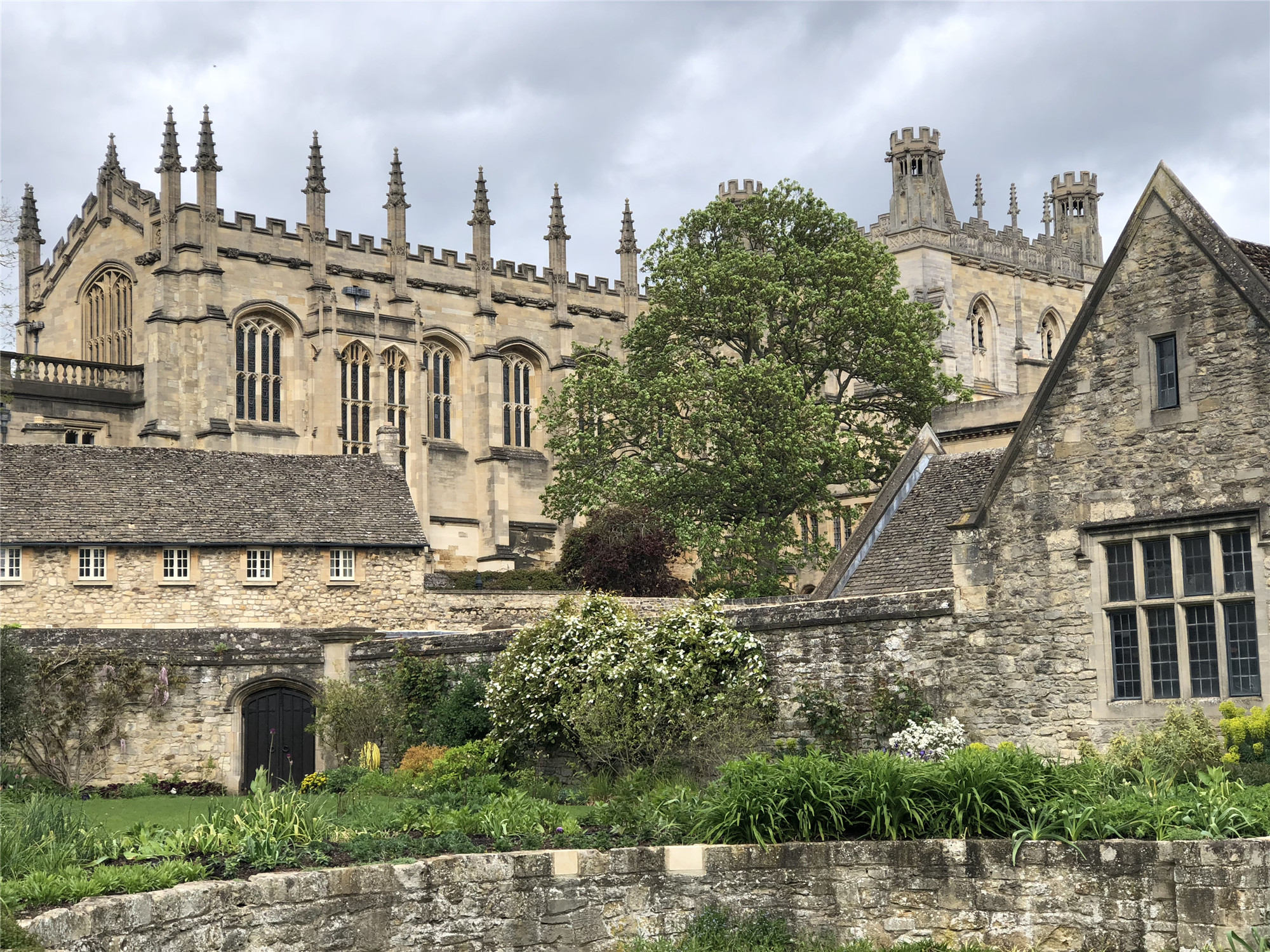 英国大学的现场&网络面试技巧