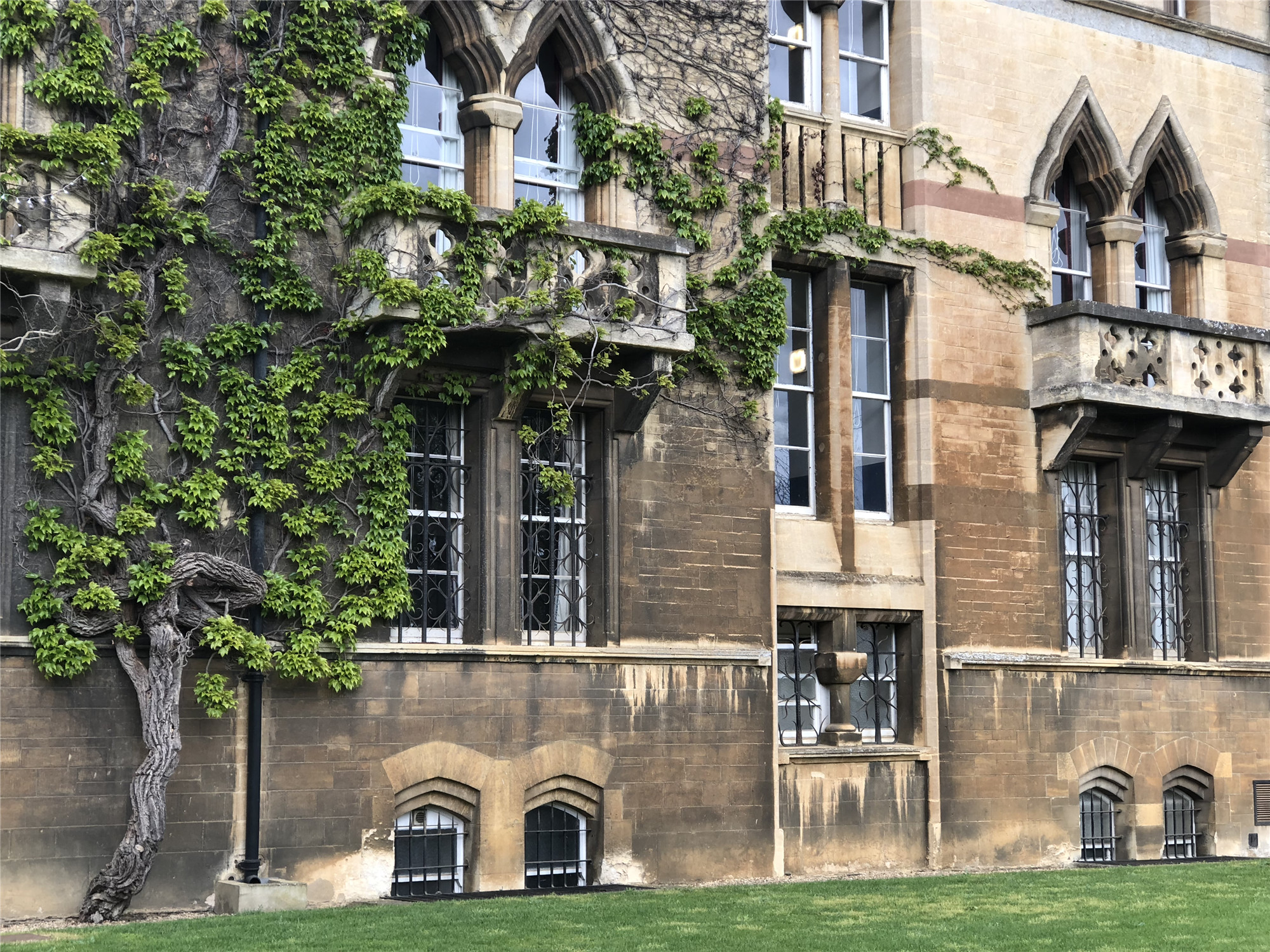 英国留学 | 有哪些相关专业可以协助对抗疫情？