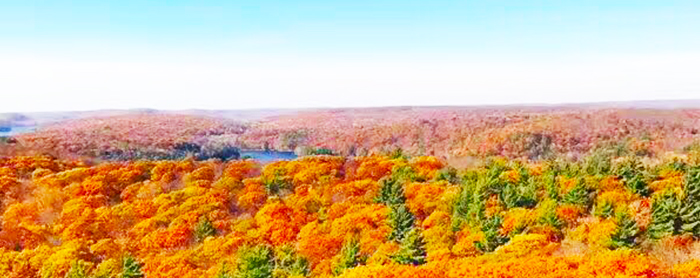 接受Duolingo的加拿大硕士项目，原来有这些！