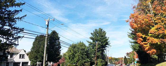 美本申请 | 2020-2021年Common App再添42个新成员！