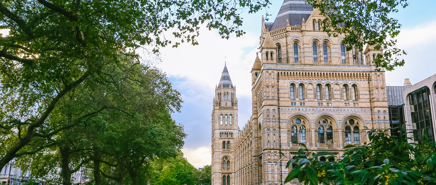 全英唯一！萨里大学新增综合性人工智能专业硕士