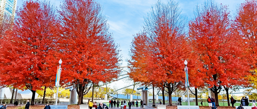 哈佛、耶鲁等315所美国大学联合发布2021招生声明