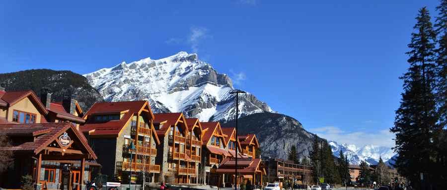 加拿大留学 | 选有“钱途”的专业，做科技时代的先锋！