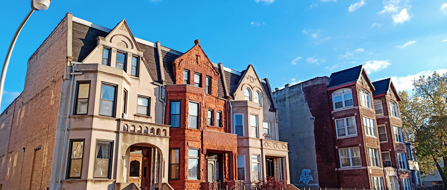 大学里满意度最高的专业有哪些？