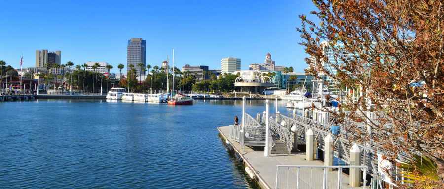 美本申请来了！Common App 8月已上线！