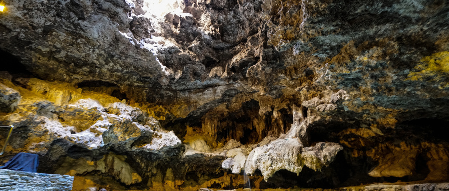 加拿大本科转学分进世界名校！