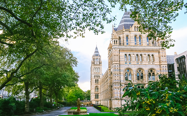 英国华威大学录取捷报 | 名校录取，尽在景鸿！