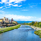 京都大学