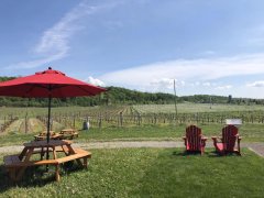 加拿大访校记：尼亚加拉学院